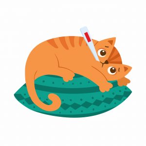 sick cat with thermometer vector